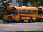 schoolbus.jpg (113679 bytes)