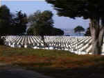 navycemetery.jpg (99072 bytes)