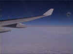 a330_wing2.jpg (71456 bytes)