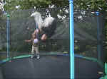 trampolin2.jpg (114815 bytes)