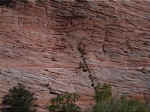 zion31.JPG (92329 bytes)