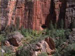 zion51.JPG (92448 bytes)